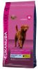 Eukanuba Daily Care Weigth Control Large Adult Hondenvoer Dubbelpak 2 x 15 kg online kopen
