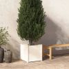 VidaXL Plantenbak 50x50x50 cm massief grenenhout wit online kopen