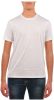 Armani Exchange 8nzt84 z8m9z t shirt , Wit, Heren online kopen