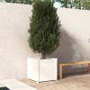VidaXL Plantenbak 60x60x60 cm massief grenenhout wit online kopen